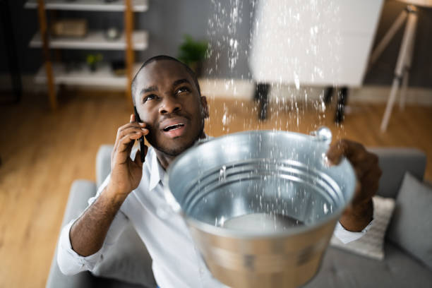 Best Flood restoration services  in Charleroi, PA