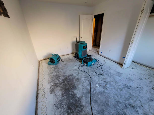 Best 24-hour water damage restoration  in Charleroi, PA