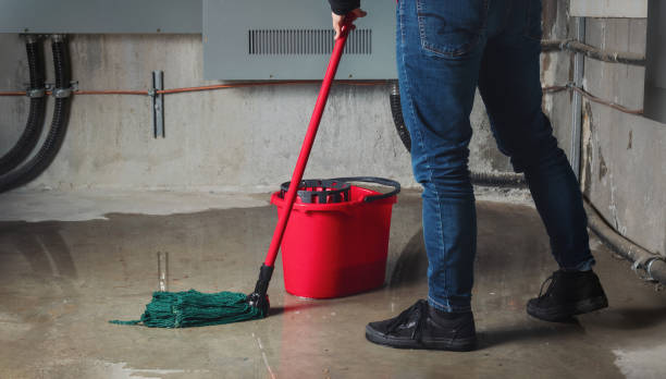 Best Fire Damage Restoration  in Charleroi, PA
