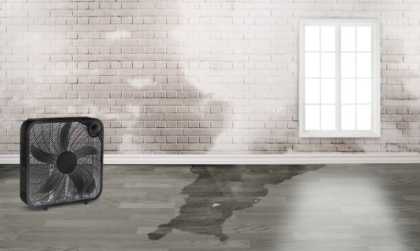Best Professional water damage repair  in Charleroi, PA