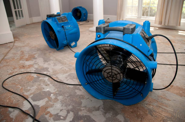 Best Flood damage cleanup  in Charleroi, PA
