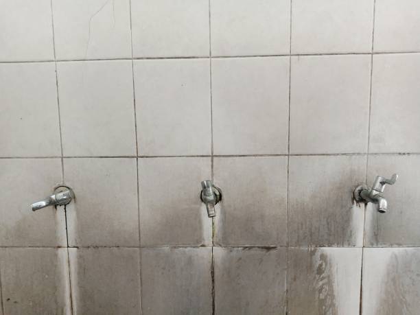 Best Residential water damage restoration  in Charleroi, PA