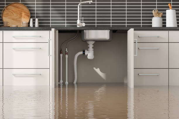 Best Water damage contractors near me  in Charleroi, PA