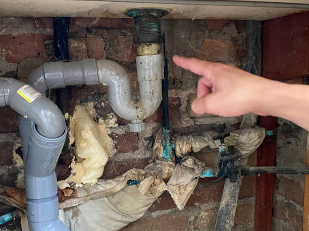 Best Fire Damage Restoration  in Charleroi, PA