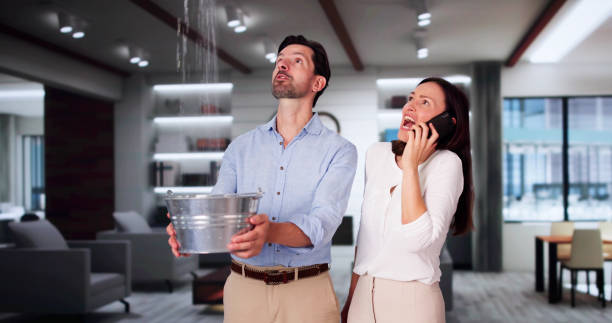 Best Ceiling water damage repair  in Charleroi, PA